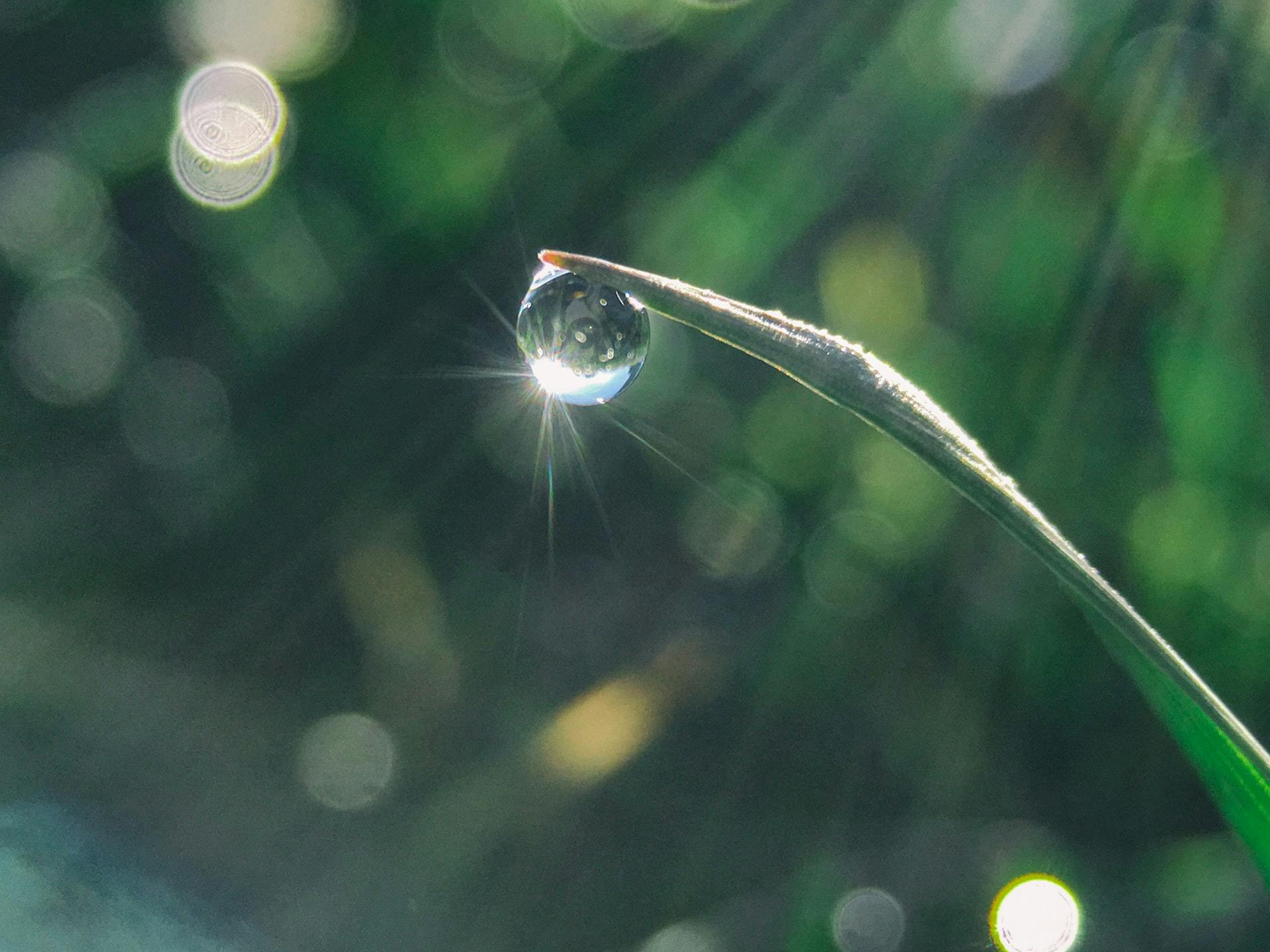 A water droplet.